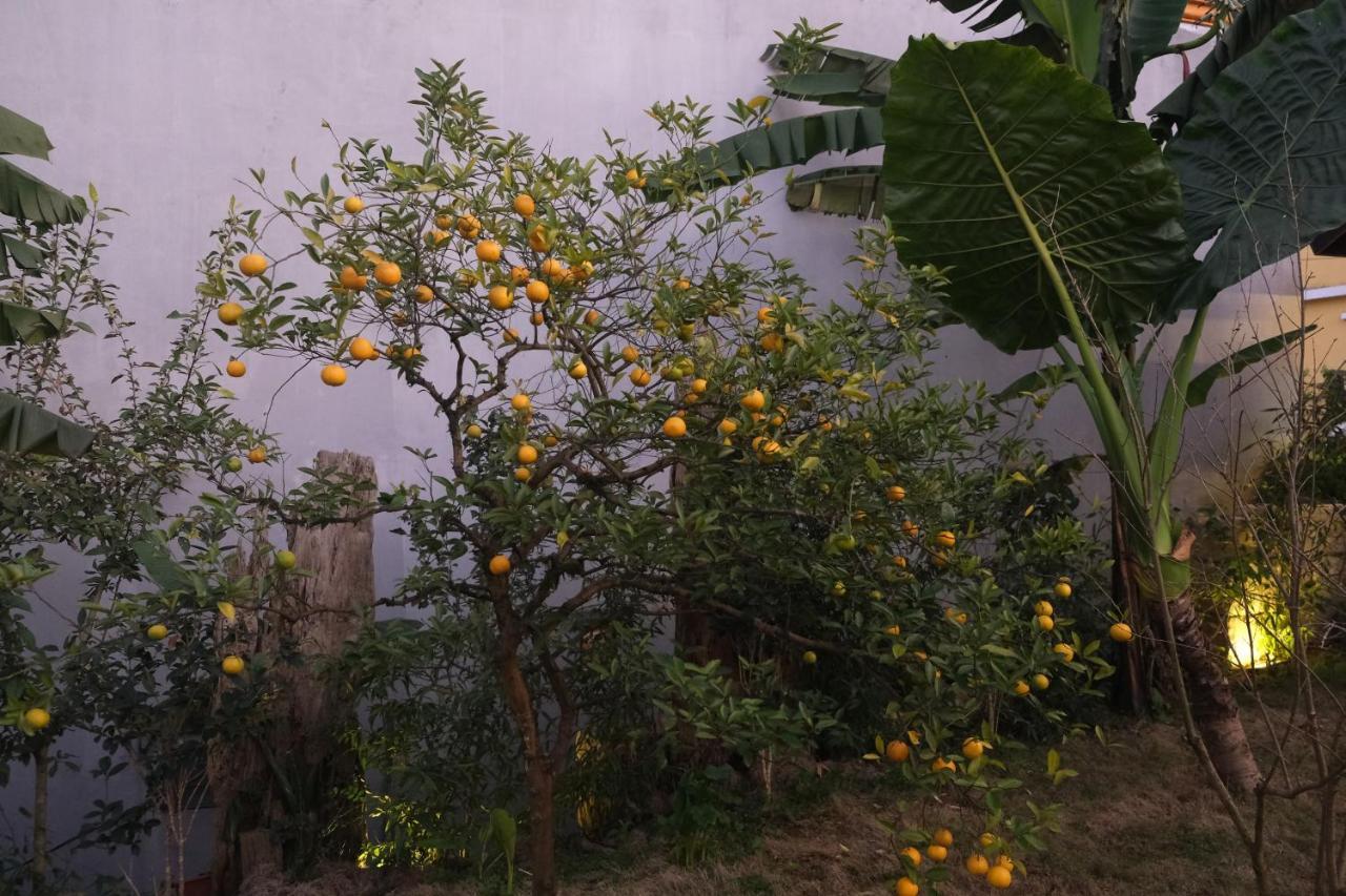 Sapa Charming Homestay Екстериор снимка
